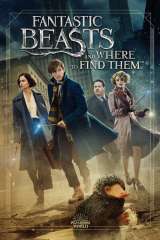 Fantastic Beasts and Where to Find Them poster 24