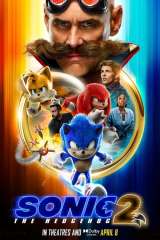 Sonic the Hedgehog 2 poster 12