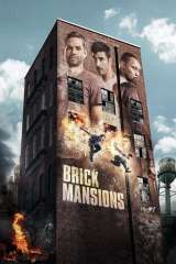 Brick Mansions (2014)