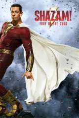 Shazam! Fury of the Gods poster 32