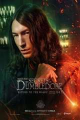 Fantastic Beasts: The Secrets of Dumbledore poster 13