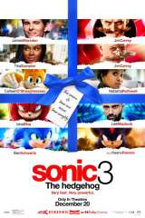 Sonic the Hedgehog 3 poster 106