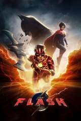 The Flash poster 34
