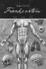 Frankenstein poster 2