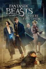 Fantastic Beasts and Where to Find Them poster 22