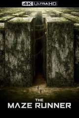 The Maze Runner poster 6