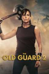 The Old Guard 2 poster 13