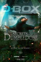 Fantastic Beasts: The Secrets of Dumbledore poster 34