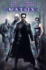 The Matrix poster 38