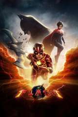 The Flash poster 13
