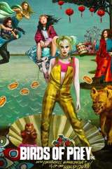 Birds of Prey (and the Fantabulous Emancipation of One Harley Quinn) poster 24