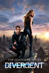 Divergent poster 6