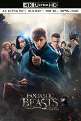 Fantastic Beasts and Where to Find Them poster 16