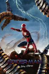 Spider-Man: No Way Home poster 14