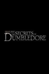 Fantastic Beasts: The Secrets of Dumbledore poster 24