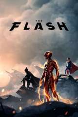 The Flash poster 54