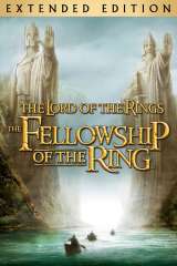 The Lord of the Rings: The Fellowship of the Ring poster 11