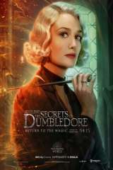 Fantastic Beasts: The Secrets of Dumbledore poster 15