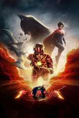 The Flash poster 35