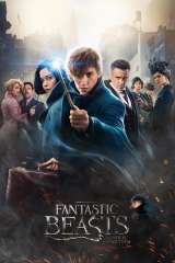 Fantastic Beasts and Where to Find Them poster 20
