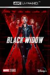 Black Widow poster 15