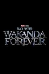 Black Panther: Wakanda Forever poster 43
