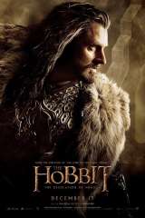 The Hobbit: The Desolation of Smaug poster 19