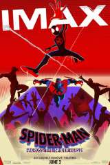 Spider-Man: Across the Spider-Verse poster 21