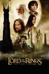 The Lord of the Rings: The Two Towers poster 14
