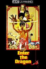 Enter the Dragon poster 19