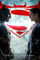 Batman v Superman: Dawn of Justice poster 22