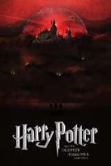 Harry Potter and the Deathly Hallows: Part 2 poster 9