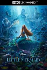 The Little Mermaid poster 10