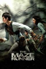 The Maze Runner poster 11