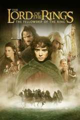 The Lord of the Rings: The Fellowship of the Ring poster 17