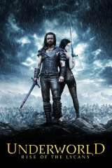 Underworld: Rise of the Lycans poster 14
