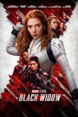 Black Widow poster 27