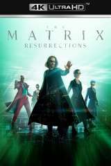 The Matrix Resurrections poster 10