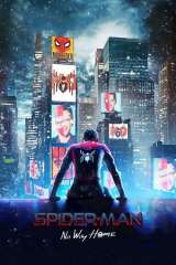 Spider-Man: No Way Home poster 15