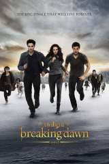The Twilight Saga: Breaking Dawn - Part 2 poster 7