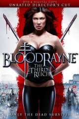 BloodRayne: The Third Reich poster 6