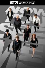 Now You See Me poster 13