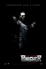 Punisher: War Zone poster 10