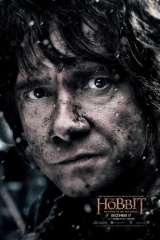 The Hobbit: The Battle of the Five Armies poster 26
