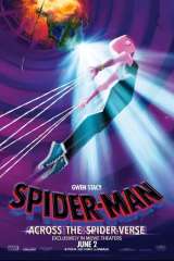Spider-Man: Across the Spider-Verse poster 16