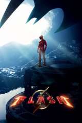The Flash poster 49