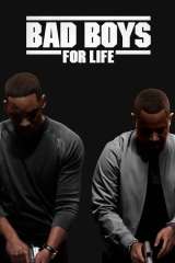 Bad Boys for Life poster 12