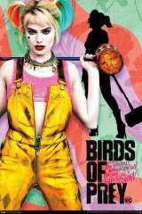 Birds of Prey (and the Fantabulous Emancipation of One Harley Quinn) poster 14
