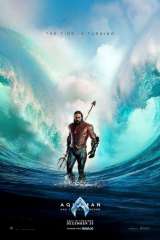 Aquaman and the Lost Kingdom poster 41