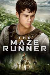 The Maze Runner poster 1